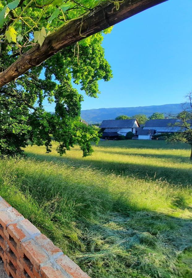 Guesthouse Ankl Lesce  Exteriér fotografie